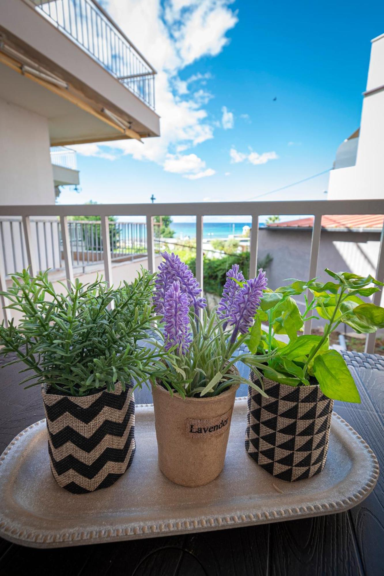 Sabbia Apartments Seafront By Rentalspro Services - Nea Moudania Halkidiki Eksteriør billede